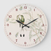 ジョン・グールドによるペルーアカネズミシードバード ラージ壁時計 (正面)