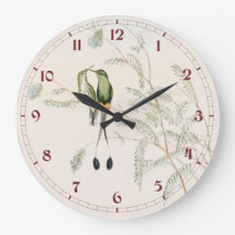 ジョン・グールドによるペルーアカネズミシードバード