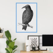 ジョン・グールドの『オーストラリアの鳥』～カラス ポスター (ホームオフィス)