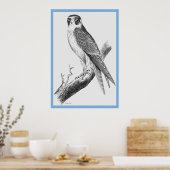 ジョン・グールドの『オーストラリアの鳥』～ファルコン ポスター (キッチン)