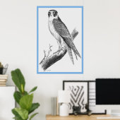 ジョン・グールドの『オーストラリアの鳥』～ファルコン ポスター (ホームオフィス)