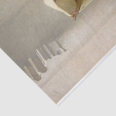 ジョン・シンガー・サージェントによるアンバーリスの煙 薄葉紙 (詳細)