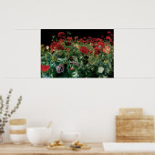 ジョン・シンガー・サーロントによるコスモス、ヴィンテージの花 ポスター (キッチン)