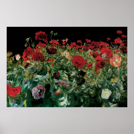 ジョン・シンガー・サーロントによるコスモス、ヴィンテージの花 ポスター (正面)