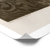 ジョン・ジェイ、アッシャー・ブラウン・デュランによって刻まれた(1796年~188年) ポスター (角)