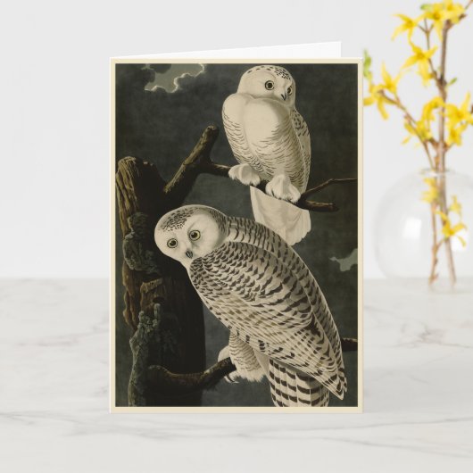 ジョン・ジェームス・アウドゥボンのアメリカの鳥たち カード (黄色い花)