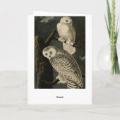 ジョン・ジェームス・アウドゥボンのアメリカの鳥たち カード (裏面)