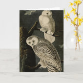 ジョン・ジェームス・アウドゥボンのアメリカの鳥たち カード (黄色い花)