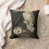 ジョン・ジェームス・アウドゥボンのアメリカの鳥たち クッション (ブランケット)