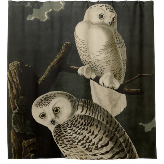 ジョン・ジェームス・アウドゥボンのアメリカの鳥たち シャワーカーテン (正面)