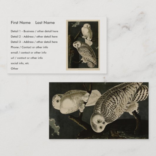 ジョン・ジェームス・アウドゥボンのアメリカの鳥たち 名刺 (正面/裏面)