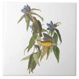 ジョン・ジェームス・アウドゥボンの鳥 タイル