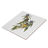 ジョン・ジェームス・アウドゥボンの鳥 タイル (側面)