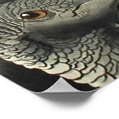 ジョン・ジェームス・オードゥボン・ブラック・バルチャーズ ポスター (角)