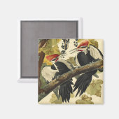 ジョン・ジェームス・オードゥボン、ペケティング・ウッドペッカー マグネット (正面/裏面)