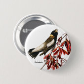 ジョン・ジェームス・オードボンによるボリンク、バーダー、コメ・バード 缶バッジ (正面&裏面)