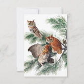 ジョン・ジェームス・オードボンによる小さな悲鳴フクロウ サンキューカード (正面)