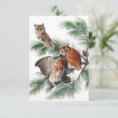 ジョン・ジェームス・オードボンによる小さな悲鳴フクロウ サンキューカード (スタンド正面)