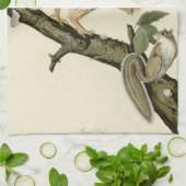 ジョン・ジェームス・オードボンのアメリカの鳥バred owl キッチンタオル (折り畳み)