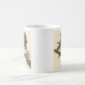 ジョン・ジェームス・オードボンのアメリカの鳥バred owl コーヒーマグカップ (中央)