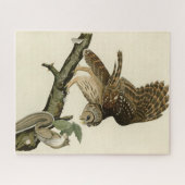 ジョン・ジェームス・オードボンのアメリカの鳥バred owl ジグソーパズル (横)