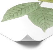 ジョン・ジェームス・オードボンカロライナ鳩モーニング・ハト1 ポスター (角)