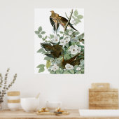 ジョン・ジェームス・オードボンファインアート ポスター (キッチン)