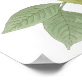 ジョン・ジェームス・オードボンファインアート ポスター (角)