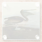 ジョン・ジェームス・オードボンブラウンペリカン絵画アートワーク ガラスコースター (裏面)