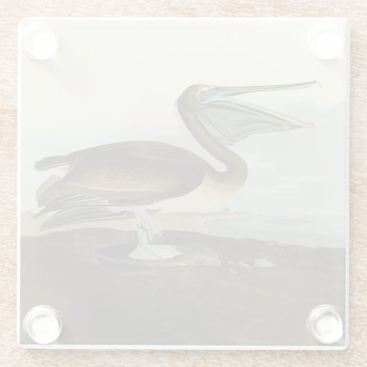 ジョン・ジェームス・オードボンブラウンペリカン絵画アートワーク ガラスコースター (裏面)