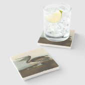 ジョン・ジェームス・オードボンブラウンペリカン絵画アートワーク ストーンコースター (横)