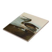 ジョン・ジェームス・オードボンブラウンペリカン絵画アートワーク タイル (側面)