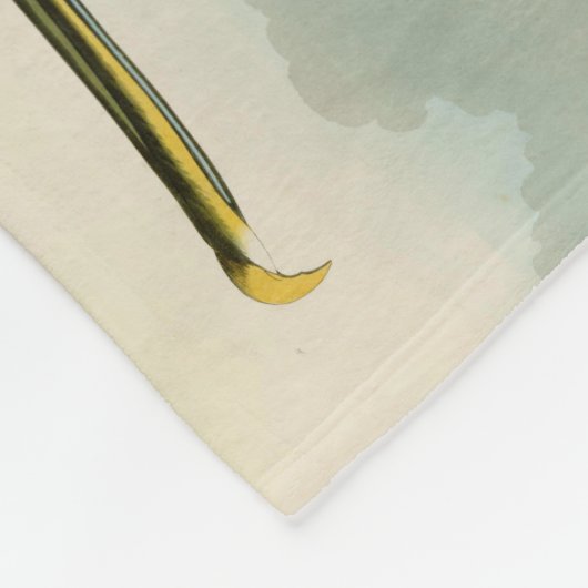 ジョン・ジェームス・オードボンブラウンペリカン絵画アートワーク フリースブランケット (角)