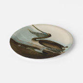 ジョン・ジェームス・オードボンブラウンペリカン絵画アートワーク ペーパープレート (アングル)