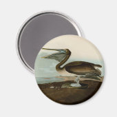 ジョン・ジェームス・オードボンブラウンペリカン絵画アートワーク マグネット (正面/裏面)