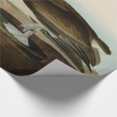 ジョン・ジェームス・オードボンブラウンペリカン絵画アートワーク ラッピングペーパー (角)