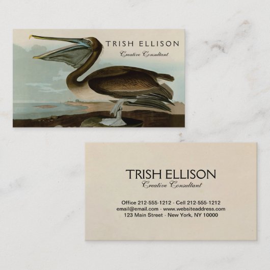 ジョン・ジェームス・オードボンブラウンペリカン絵画アートワーク 名刺 (正面/裏面)