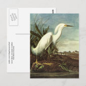 ジョン・ジェームス・オードボン・スノイ・エグロット ポストカード (正面/裏面)