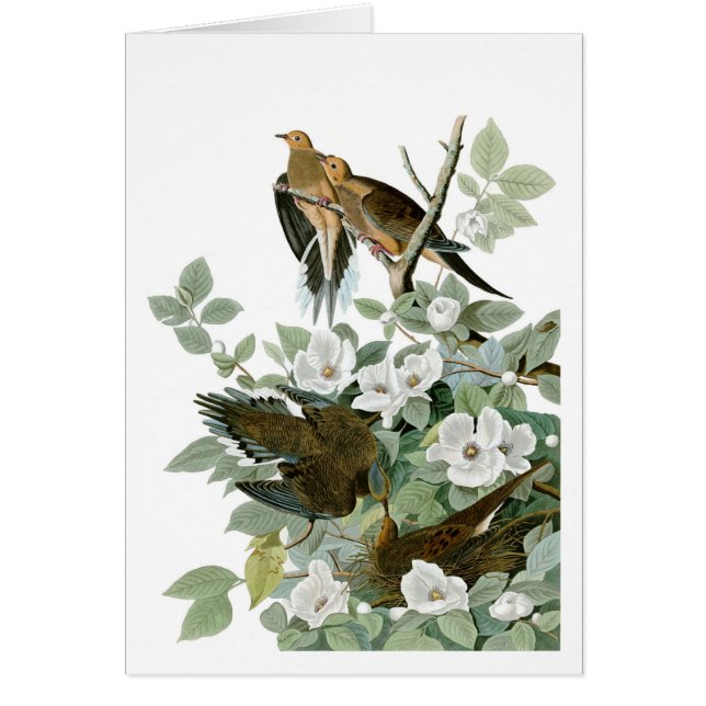 ジョン・ジェームス・オードボン、喪に服す (正面)