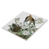 ジョン・ジェームス・オードボン、喪に服す タイル (側面)