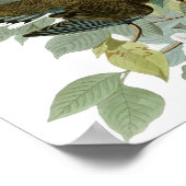 ジョン・ジェームス・オードボン、喪に服す ポスター (角)