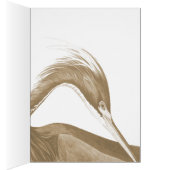 ジョン・ジェームズ・オードゥボン・ルイシアナ・ヘロンCC0750鳥 (内側 (右))