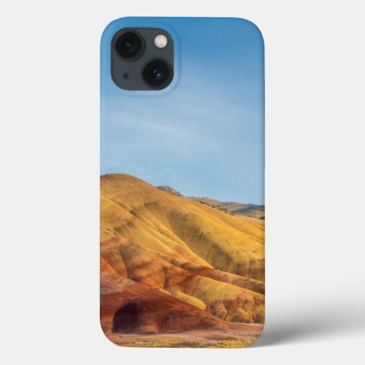 ジョン・デイ化石の丘の彩色された丘 Case-Mate iPhoneケース (裏面)