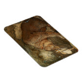 ジョン・バウアーの「彼女はクマにキスをした」 マグネット (右側)