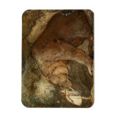 ジョン・バウアーの「彼女はクマにキスをした」 マグネット (縦)