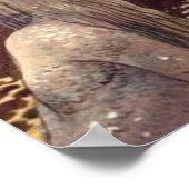 ジョン・バウアー・アグネタと湖のキング ポスター (角)