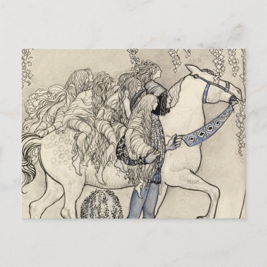 ジョン・バウアー – 彼がビットで率いた馬 ポストカード (正面)