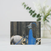 ジョン・バウアー – 時々 ポストカード (スタンド正面)