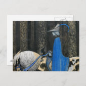 ジョン・バウアー – 時々 ポストカード (正面/裏面)