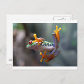 ジョン・レマー・ジュニアによるカエル ポストカード (正面/裏面)